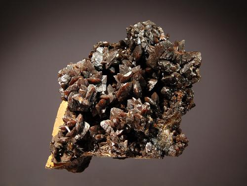 Descloizite<br />Berg Aukas, Distrito Grootfontein, Región Otjozondjupa, Namibia<br />6.6 x 7.6 cm<br /> (Author: Michael Shaw)