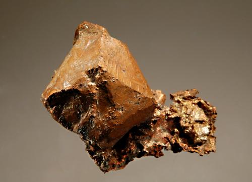 Copper<br />Mina Caledonia, Mass City, Condado Ontonagon, Michigan, USA<br />2.3 x 2.7 cm<br /> (Author: crosstimber)