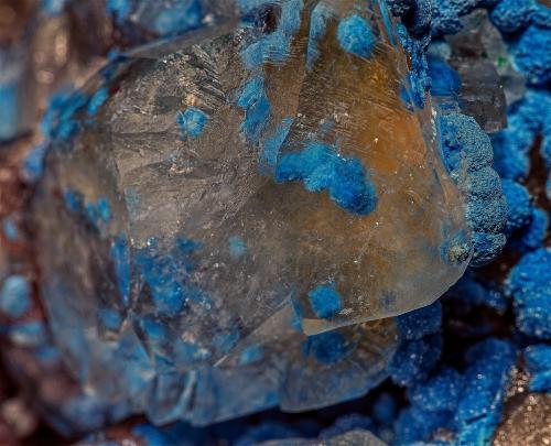 Quartz, Shattuckite<br />Kaokoveld Plateau, Región Kunene, Namibia<br /><br /> (Author: am mizunaka)