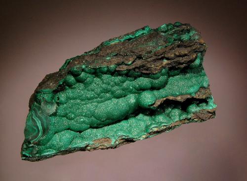 Malachite<br />Mina Mashamba West, Distrito Kolwezi, Lualaba, Cinturón de cobre de Katanga, Katanga (Shaba), República Democrática del Congo (Zaire)<br />6.5 x 12.5 cm<br /> (Author: crosstimber)