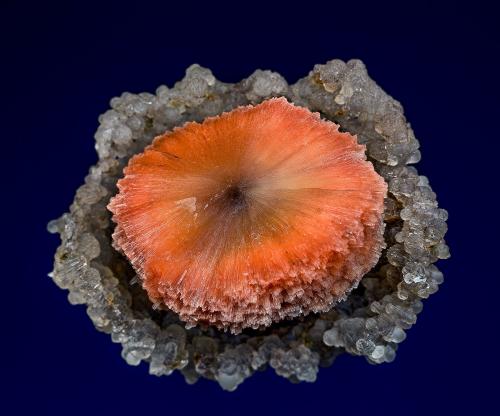 Scolecite, Quartz (var. chalcedony)<br />Chandanapuri, Samgamner, Distrito Ahmadnagar, Maharashtra, India<br />4.8 x 4.2 cm<br /> (Author: am mizunaka)