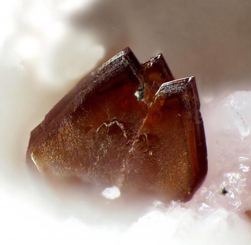 Canutita<br />Mina Torrecillas, Salar Grande, Provincia El Tamarugal, Región Tarapacá, Chile<br />fov 0.5 mm<br /> (Autor: Rewitzer Christian)