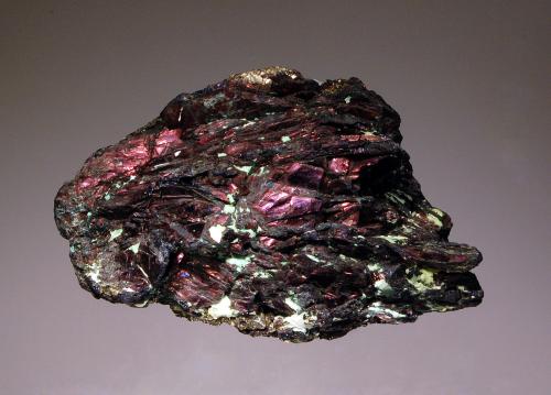 Covellite<br />Mina East Colusa, (Berkeley Pit), Butte, Distrito Butte, Condado Silver Bow, Montana, USA<br />4.8 x 6.9 cm<br /> (Author: crosstimber)