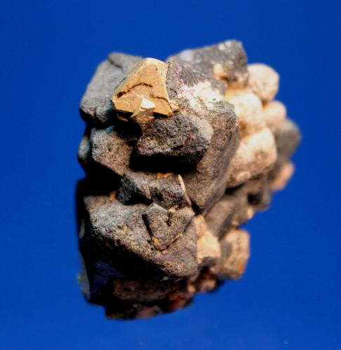 Anatase, Kimzeyite,Magnetite<br />Perovskite Hill, Magnet Cove, Condado Hot Spring, Arkansas, USA<br />4.0 x 3.5 x 2.0 cm<br /> (Author: Don Lum)