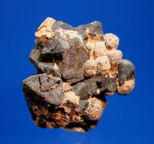 Anatase, Kimzeyite, Magnetite<br />Perovskite Hill, Magnet Cove, Condado Hot Spring, Arkansas, USA<br />4.0 x 3.5 x 2.0 cm<br /> (Author: Don Lum)