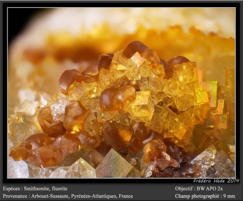 Smithsonite, Fluorite<br />Cantera Birrity, Arbouet-Sussaute, Pirineos Atlánticos, Nouvelle-Aquitaine, Francia<br />fov 9 mm<br /> (Author: ploum)