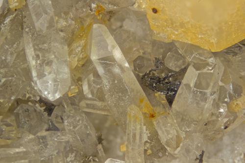 Quartz, Siderite, Rutile<br />Cantera Poudrette, Mont Saint-Hilaire, La Vallée-du-Richelieu RCM, Montérégie, Québec, Canadá<br />FOV = 4mm<br /> (Author: Doug)