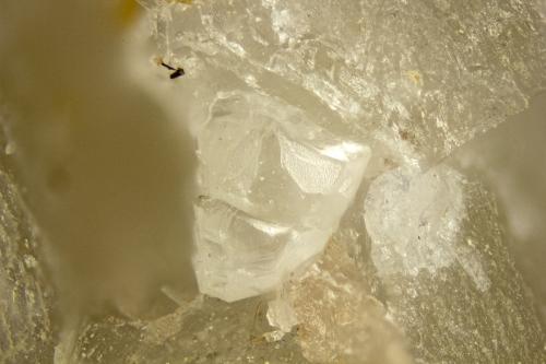 Chkalovite<br />Cantera Poudrette, Mont Saint-Hilaire, La Vallée-du-Richelieu RCM, Montérégie, Québec, Canadá<br />FOV = 2mm<br /> (Author: Doug)