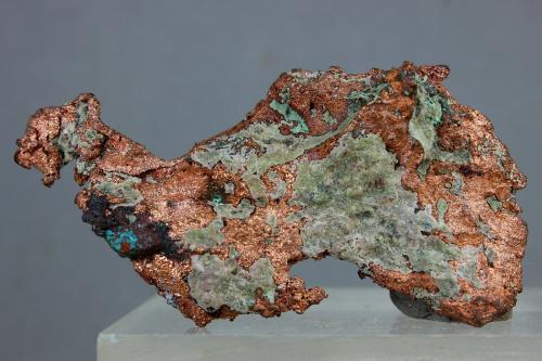 Cobre<br />Mina Manto Negro, Provincia Copiapó, Región Atacama, Chile<br />70x30 mm<br /> (Autor: Juan Espino)