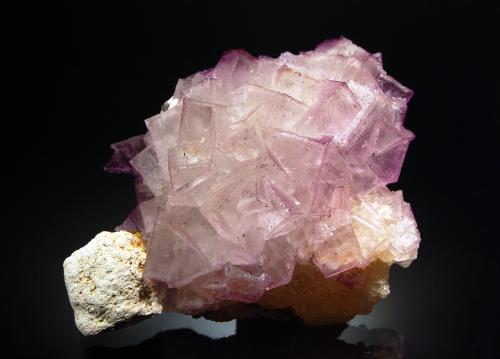 Fluorite<br />East Faircloth, Filones Faircloth, Mundy's Landing, Harrodsburg, Condado Woodford, Kentucky, USA<br />6.8 x 9.1 cm<br /> (Author: crosstimber)