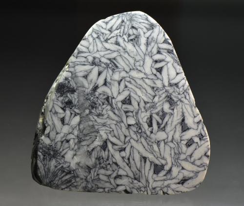 Magnesite (var. pinolite)<br />Depósito Magnesita, Sunk, Niedere Tauern, Estiria/Steiermark, Austria<br />10 x 11 cm<br /> (Author: Martin Rich)