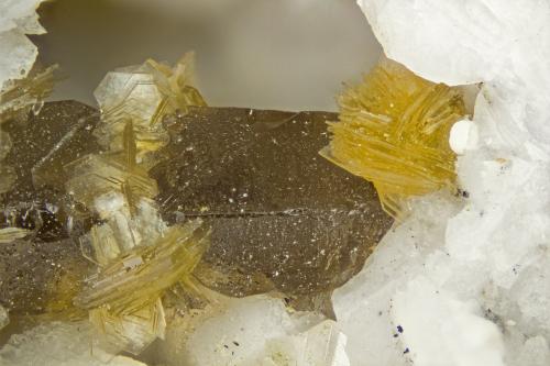 Gmelinite-Na  Franconite<br />Cantera Poudrette, Mont Saint-Hilaire, La Vallée-du-Richelieu RCM, Montérégie, Québec, Canadá<br />FOV = 4mm<br /> (Author: Doug)