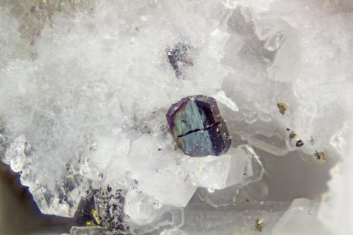 Columbite-(Fe)<br />Cantera Poudrette, Mont Saint-Hilaire, La Vallée-du-Richelieu RCM, Montérégie, Québec, Canadá<br />FOV = 1.2mm<br /> (Author: Doug)