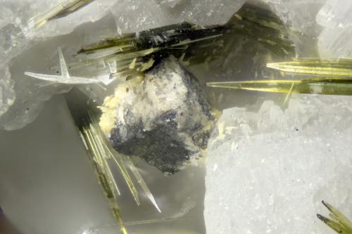 Cerussite  Wulfenite  Galena  Aegirine<br />Cantera Poudrette, Mont Saint-Hilaire, La Vallée-du-Richelieu RCM, Montérégie, Québec, Canadá<br />FOV = 2mm<br /> (Author: Doug)