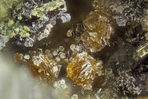 Labuntsovite-(Mn)<br />Cantera Poudrette, Mont Saint-Hilaire, La Vallée-du-Richelieu RCM, Montérégie, Québec, Canadá<br />FOV = 2mm<br /> (Author: Doug)