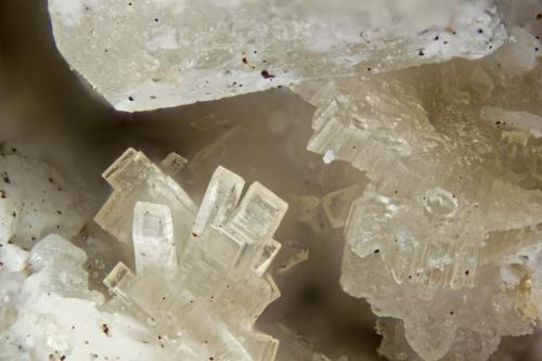 Horvathite-(Y)<br />Cantera Poudrette, Mont Saint-Hilaire, La Vallée-du-Richelieu RCM, Montérégie, Québec, Canadá<br />FOV = 2mm<br /> (Author: Doug)