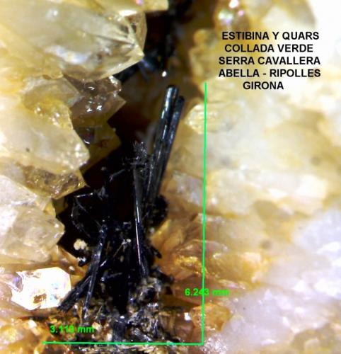 Stibnita (estibina) y Cuarzo<br />Collada Verda, Abella-Pardines, Ripoll, Comarca Ripollés, Gerona / Girona, Cataluña / Catalunya, España<br />70x45 mm.<br /> (Autor: Jesus Franquesa Baucells)