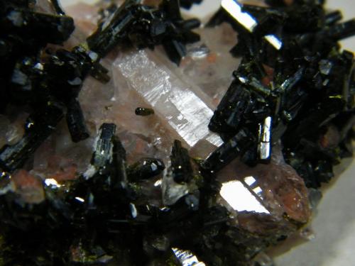 Epidote and Quartz<br />Schakalskruppe, Distrito Bethanie, Region ǁKaras, Namibia<br />60x40mm<br /> (Author: Heimo Hellwig)