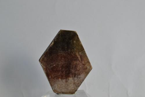 Flogopita<br />Distrito Betroka, Región Anosy, Madagascar<br />4 x 3,5 x 0,5 cm<br /> (Autor: Raul S. Llorente)