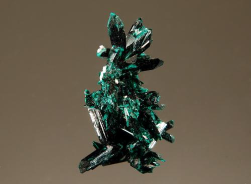 Brochantite<br />Mina Milpillas, Cuitaca, Municipio Santa Cruz, Sonora, México<br />1.3 x 3.0 cm<br /> (Author: crosstimber)