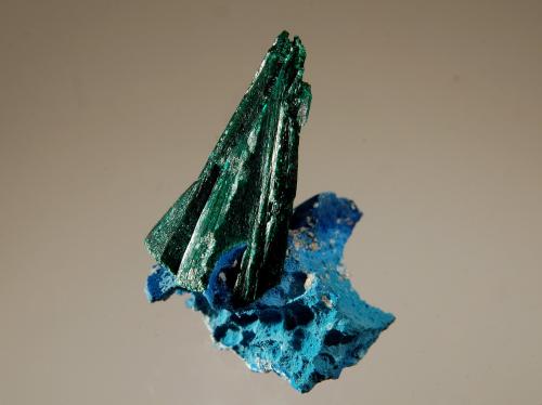 Malachite<br />Mina Tantara, Shinkolobwe, Cinturón de cobre de Katanga, Katanga (Shaba), República Democrática del Congo (Zaire)<br />2.9 cm<br /> (Author: crosstimber)