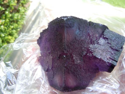 Fluorite<br />Mina Elmwood, Carthage, Distrito Central Tennessee Ba-F-Pb-Zn, Condado Smith, Tennessee, USA<br />10.8 x 8.9 x 7.6 cm<br /> (Author: Casimir Sarisky)