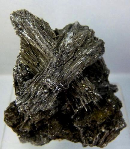 Zinkenita.<br />San José Mine, Oruro City, Cercado Province, Oruro Department, Bolivia<br />60x40 mm.<br /> (Autor: Jesus Franquesa Baucells)