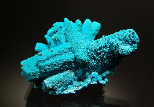 Chrysocolla<br />Luputo, Kakumba, Cinturón de cobre de Katanga, Katanga (Shaba), República Democrática del Congo (Zaire)<br />4.1 x 7.1 cm<br /> (Author: crosstimber)