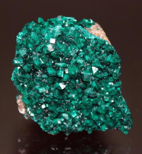 Dioptase<br />Dzhezkazgan, Región Karaganda, Kazajstán<br />6.3 x 5.5 cm<br /> (Author: Don Lum)