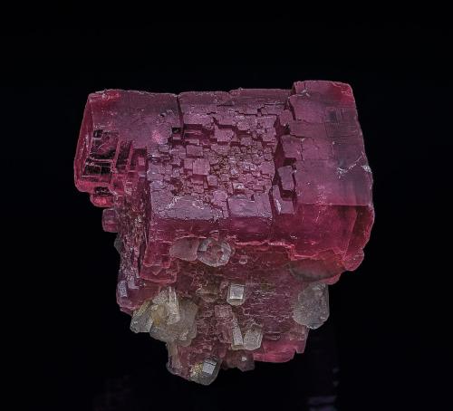 Rhodochrosite, Quartz<br />Mina Huayllapon (Mina Huallapon), Pasto Bueno, Distrito Pampas, Provincia Pallasca, Departamento Ancash, Perú<br />3.5 x 3.7 cm<br /> (Author: am mizunaka)