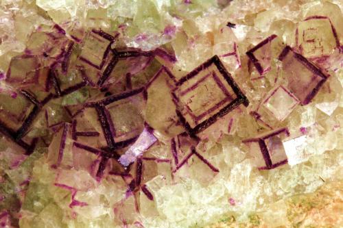 Fluorite<br />Mina Cäcilia, Freiung, Stulln, Distrito Wölsendorf Oeste, Alto Palatinado/Oberpfalz, Baviera/Bayern, Alemania<br />FOV 40 mm<br /> (Author: Gerhard Brandstetter)