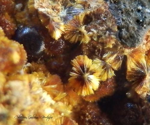 Cacoxenita<br />Minas de El Horcajo, El Horcajo, Almodóvar del Campo, Comarca Campo de Calatrava, Ciudad Real, Castilla-La Mancha, España<br />Encuadre 4 x 3,2 mm<br /> (Autor: Rafael Galiana)