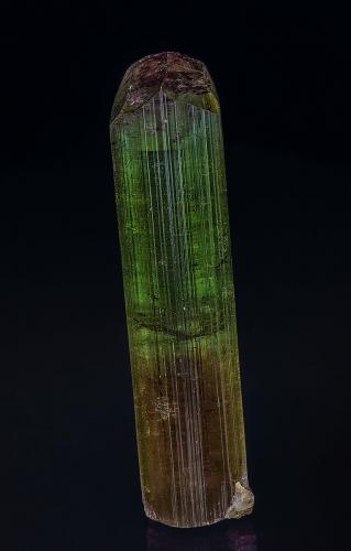 Elbaite<br />Pegmatita Dara-i-Pech, Distrito Chapa Dara, Provincia Kunar (Konar), Afganistán<br />7.8 x 1.8 cm<br /> (Author: am mizunaka)