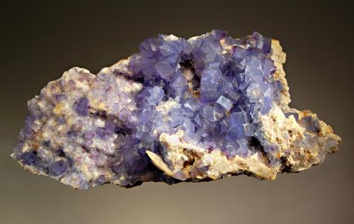 Fluorite<br />Mina Blanchard (Mina Portales-Blanchard), Bingham, Distrito Hansonburg, Condado Socorro, New Mexico, USA<br />9.7 x 20.4 cm<br /> (Author: crosstimber)