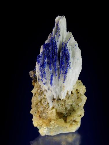 Azurite on Barite and Dolomite<br />Túnel Lilien, Kleinkogel, St Gertraudi, Brixlegg, Distrito Kufstein, Valle Inn, Tirol Norte, Tirol, Austria<br />42 mm<br /> (Author: Gerhard Brandstetter)