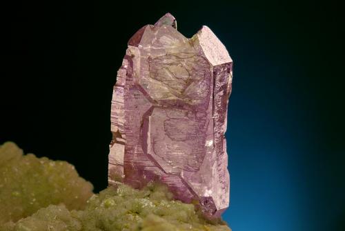 Quartz (variety amethyst)<br />Osilo, Provincia Sassari, Cerdeña/Sardegna, Italia<br />Crystal size 20 mm<br /> (Author: Gerhard Brandstetter)