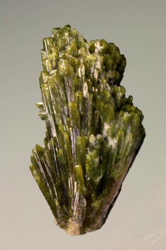 Epidote<br />Monte Gertrusk, Saualpe, Carintia/Kärnten, Austria<br />36 mm<br /> (Author: Gerhard Brandstetter)