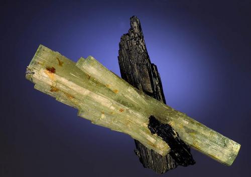 Beryl on Tourmaline<br />Monte Erongo, Usakos, Región Erongo, Namibia<br />43 mm<br /> (Author: Gerhard Brandstetter)