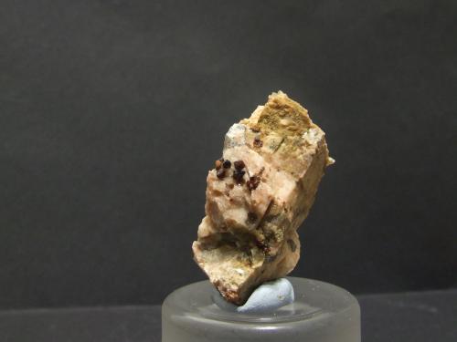 Granate<br />Silán, Muras, Comarca Terra Chá, Lugo, Galicia / Galiza, España<br />48x22mm. Cristales: 2mm<br /> (Autor: joaquin gar)