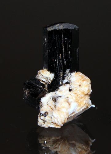 Arfvedsonite, Albite<br />Montañas Hurricane, North Conway, Conway, Condado Carroll, New Hampshire, USA<br />3 x 2.2 x 2 cm<br /> (Author: Don Lum)