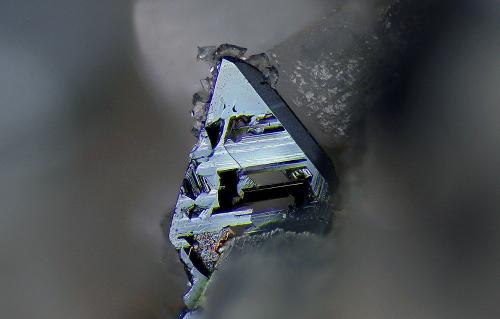 Hematite<br />Cantera Lohning (Cantera Lohninger), Valle Hüttwinkl, Valle Rauris, Distrito Zell am See, Hohe Tauern, Salzburgo/Salzburg, Austria<br />FOV 3,5 mm<br /> (Author: Gerhard Brandstetter)