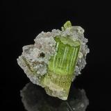 Tourmaline (Group), 'lepidolite'Pegmatita Arqueana, Valle Piauí, Taquaral, Itinga, Jequitinhonha, Minas Gerais, Brasil4.1 x 4.0 cm (Author: am mizunaka)