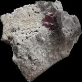 Cinabrio<br />Mina Escarlati, Puerto de las Señales, Maraña, Comarca Montaña Oriental, León, Castilla y León, España<br />4x4cm<br /> (Autor: castrominerals)