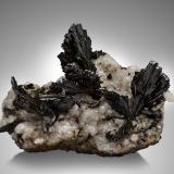 Epidote on CalcitePampa Blanca, Distrito Ticrapo, Provincia Castrovirreyna, Departamento Huancavelica, Perú24 x 19 x 12 cm / main crystal: 6.4 cm (Author: MIM Museum)