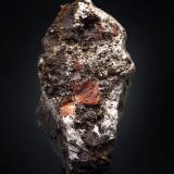 Labuntsovite-Mn with Albite and NatroliteMonte N'orkpakhk, Macizo Khibiny, Península Kola, Murmanskaja Oblast, Región del Norte, Rusia8 x 13 x 8 cm / main crystal: 2.0 cm. (Author: MIM Museum)