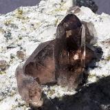 Quartz (variety Smoky Quartz)Val Giuv, Tujetsch (Tavetsch), Valle Vorderrhein, Grisones (Grischun; Graubünden), Suiza9 x 8 cm (Author: Volkmar Stingl)