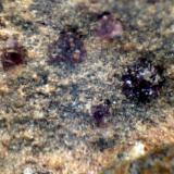 Smithsonita (variedad cobaltosmithsonita)<br />Cerro Minado, Huércal-Overa, Comarca Levante Almeriense, Almería, Andalucía, España<br />1 mm<br /> (Autor: José Luis Zamora)