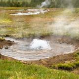 Surgencia de agua caliente en Haukadalur. (Autor: Antonio P. López)