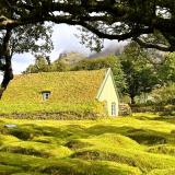 Las casas con tejado de turba y césped se construyen desde la edad de hierro en muchos países nórdicos, pues el aislamiento proporcionado por este material permitía a sus moradores protegerse del frío, la humedad y otras inclemencias del tiempo. 
En primer término, un antiguo cementerio cubierto de turba, cerca de la iglesia Hofskirkja. (Autor: Antonio P. López)