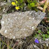 Como minerales accesorios hay cuarzo, en sus variedades cristal de roca y calcedonia, calcita, en la variedad espato de Islandia, ópalo y celadonita, que aparece recubriendo internamente las vacuolas con una fina capa de color azul-verdoso. (Autor: Antonio P. López)